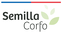 Semilla Corfo